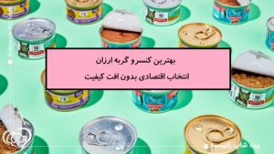 بهترین کنسرو گربه ارزان؛ انتخاب اقتصادی بدون افت کیفیت