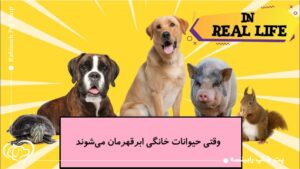 وقتی حیوانات خانگی ابرقهرمان می‌شوند