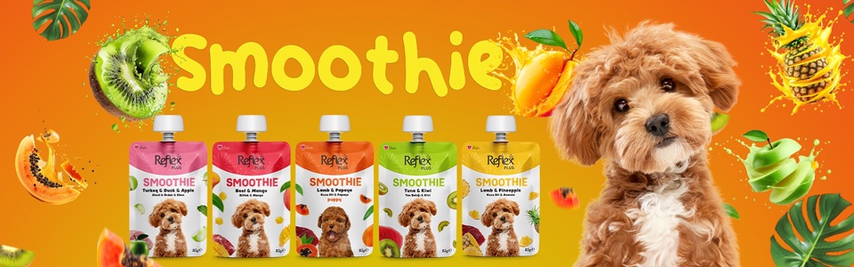 غذا خشک رفلکس نمایندگی رفلکس