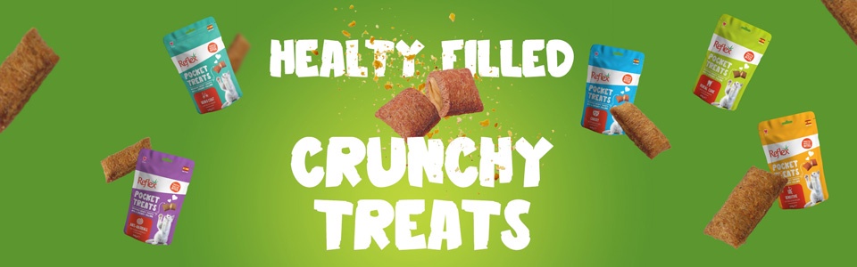 رفلکس ایران نمایندگی