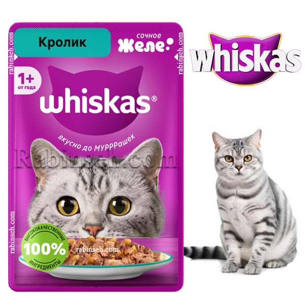 پوچ گربه ویسکاس روسیه طعم خرگوش در ژله 75 گرم – روسیه