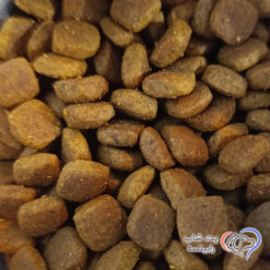 غذای خشک گربه سیور اگزیجنت رویال کنین فله ای ( بسته بندی رابینسه )