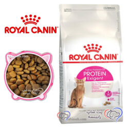 غذای خشک گربه سیور اگزیجنت رویال کنین فله ای ( بسته بندی رابینسه )