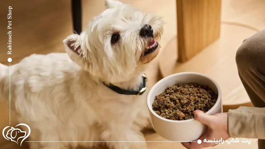 چگونه متوجه شویم غذایی که انتخاب کردیم برای سگ مناسب است؟