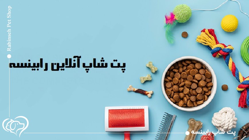 پت شاپ آنلاین ارزان؛ چطور امن و مطمئن خرید کنیم؟