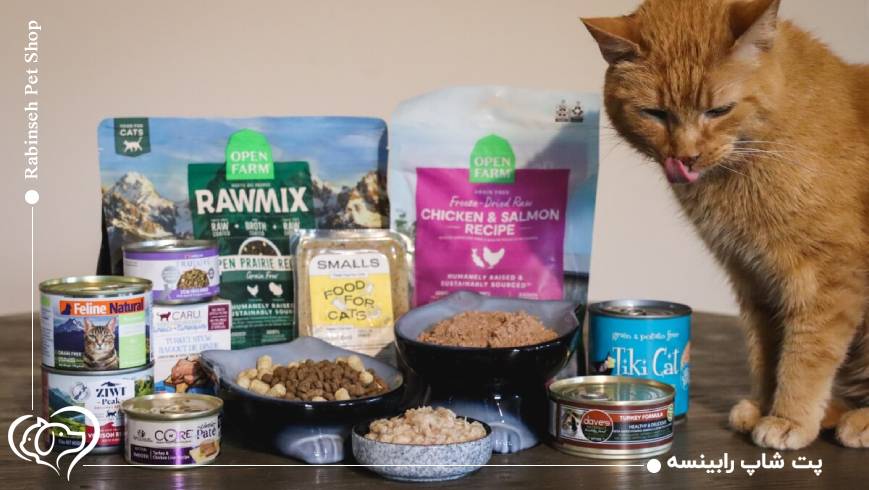 وجود پروتئین باکیفیت