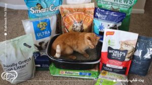 بهترین خاک گربه برای خانه های آپارتمانی – بدون بو و مناسب برای چند گربه