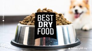 راهنمای خرید غذای خشک سگ؛ تفاوت برندها و جدول مقایسه