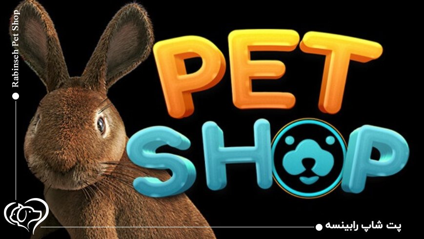 بررسی نقش قیمت واقعی در انتخاب پت شاپ آنلاین معتبر