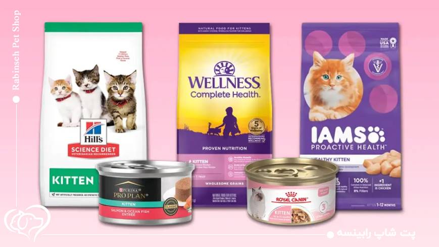 بهترین برندهای غذای گربه عقیم (بررسی مزایا و تفاوت‌ها)