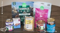 بهترین غذای گربه عقیم؛ چه برندی بخریم؟