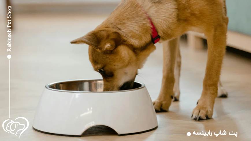  آیا می‌توان بدون هزینه زیاد تجهیزات کامل داشت؟