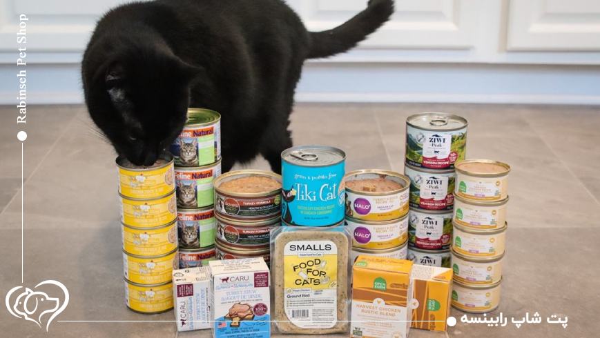 نکات مهم هنگام خرید آنلاین کنسرو گربه