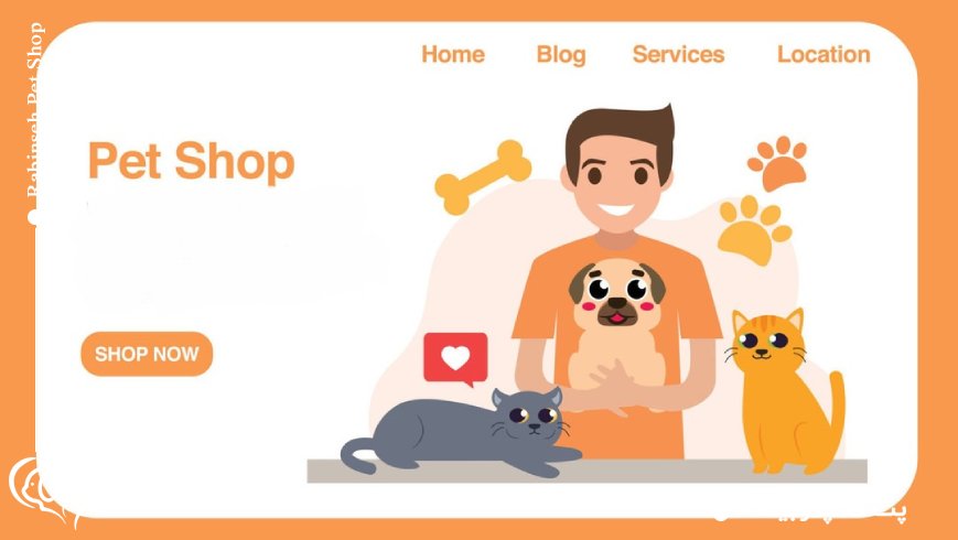 چرا رابینسه گزینهای مطمئن برای خرید آنلاین ملزومات حیوانات خانگی است؟