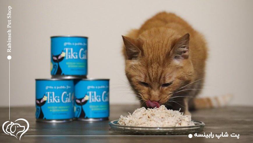 معرفی ۶ کنسرو اقتصادی و باکیفیت