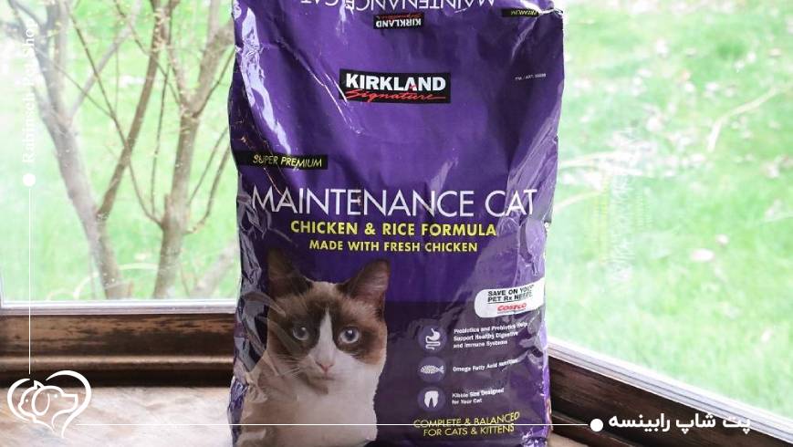 غذای مناسب برای گربه عقیم حساس یا آلرژیک