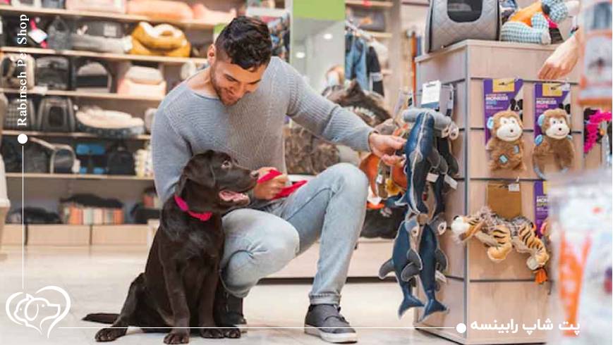 معیارهای مهم در انتخاب بهترین پت‌شاپ تهران