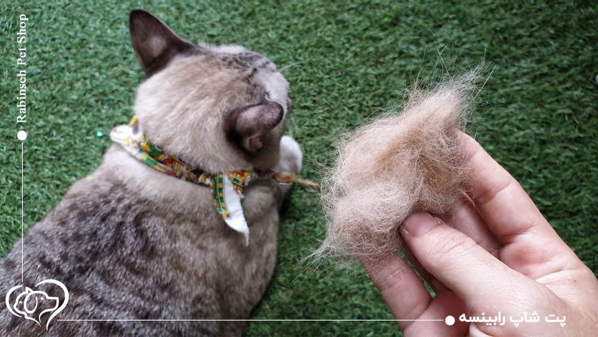 آیا موی گربه باعث نازایی میشود؟