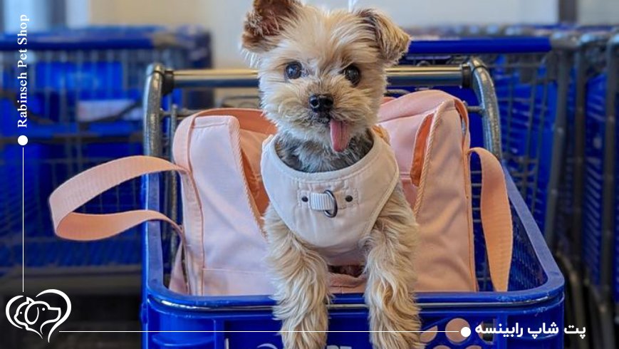 مهمترین معیارهای خرید امن از پت شاپ اینترنتی