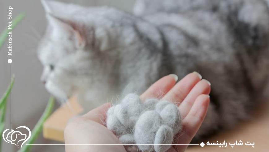 آیا موی گربه به خودی خود بیماریزاست؟