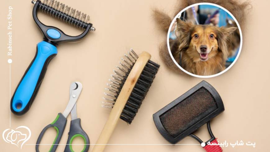 7. وسایل آموزشی؛ سگ مودب، خانه آرام