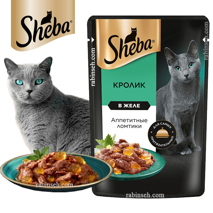 پوچ گربه شبا طعم گوشت خرگوش در ژله 75 گرم - روسیه