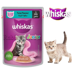 پوچ بچه گربه کیتن ویسکاس پته ای طعم تن در ژله 80 گرم