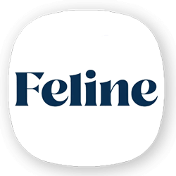 فلین | feline