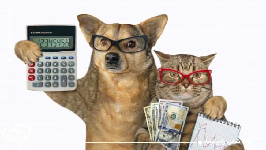 گربهها و سگهای شاغل در کافهها و فروشگاهها