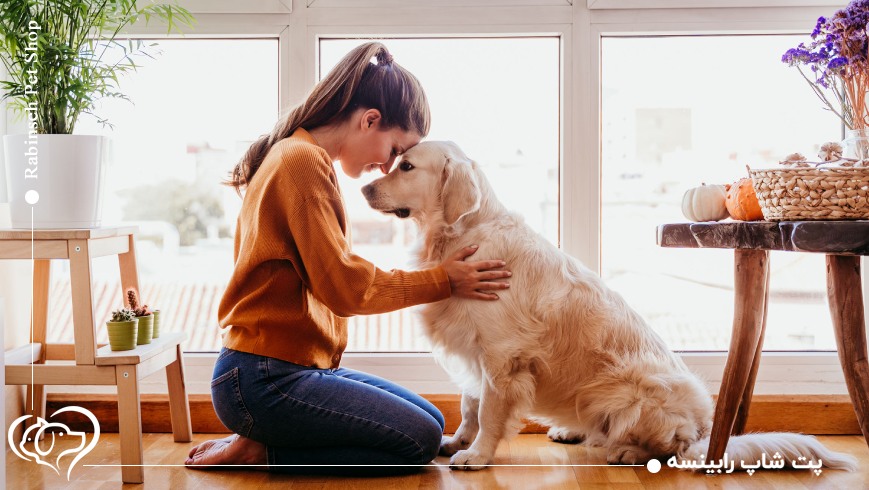 حیوانات خانگی و افزایش مسئولیتپذیری