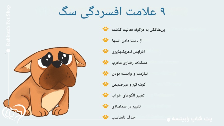 نشانه های افسردگی و اضطراب در حیوان خانگی
