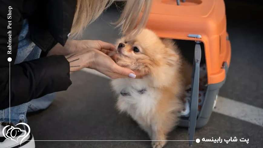 حملونقل اختصاصی و پروازهای فرستکلاس پتها