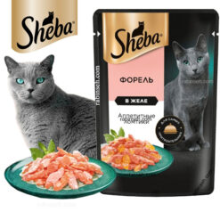 پوچ گربه شبا طعم ماهی قزل آلا در ژله 75 گرم - روسیه