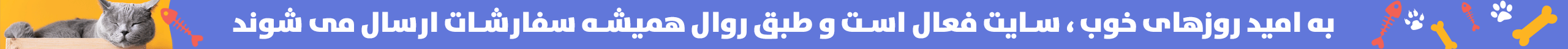 top-bar-banner