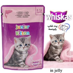 پوچ بچه گربه کیتن ویسکاس آلمان سالمون در ژله 85 گرم
