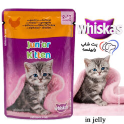 پوچ بچه گربه کیتن ویسکاس آلمان گوشت پرندگان ژله 85 گرم