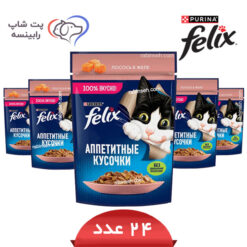 پوچ گربه فلیکس سالمون در ژله پک 24 عددی – روسیه
