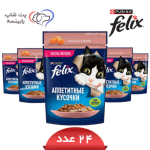 پوچ گربه فلیکس سالمون در ژله پک 24 عددی - روسیه