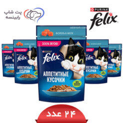 پوچ گربه فلیکس تن در ژله پک 24 عددی – روسیه