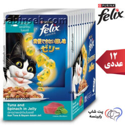 پوچ گربه فلیکس تایلند تن و اسفناج در ژله بسته 12 عددی