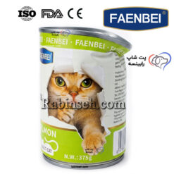 کنسرو پته ای گربه بالغ فنبی سالمون 375 گرم (فرو رفتگی دارد)