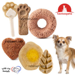 کوکی تشویقی سگ مدل های مختلف