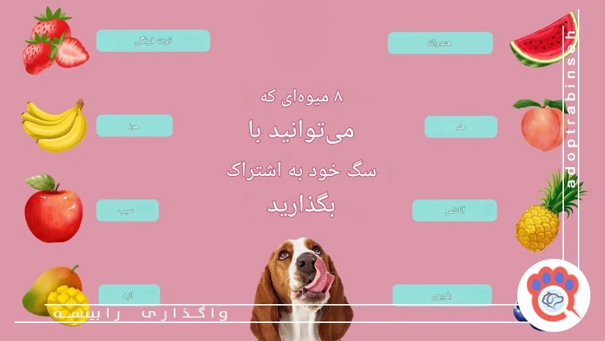چرا برخی میوهها برای سگها مفید هستند؟