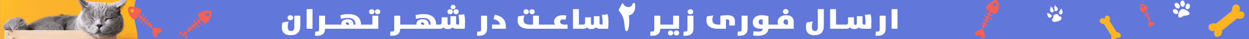 top-bar-banner
