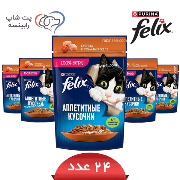 پوچ گربه فلیکس مرغ و گوجه در ژله پک 24 عددی - روسیه