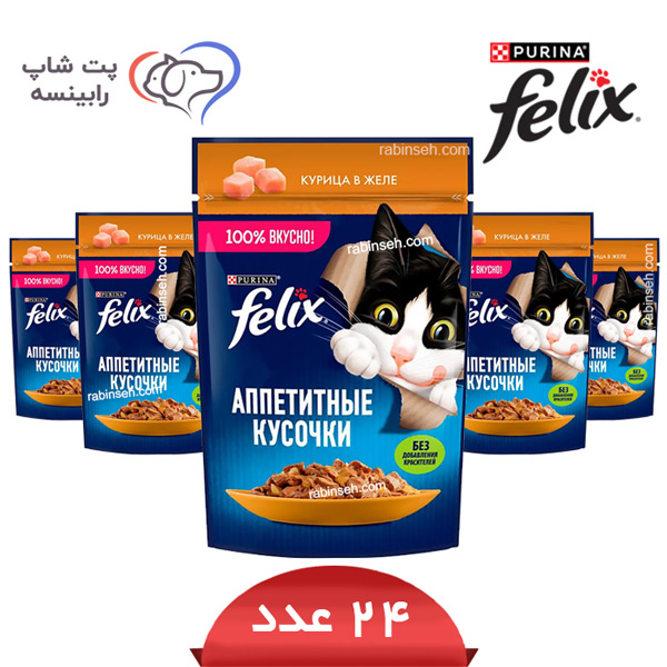 پوچ گربه فلیکس مرغ در ژله پک 24 عددی – روسیه پوچ گربه فلیکس مرغ در ژله پک 24 عددی – روسیه