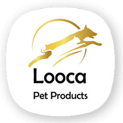 لوکا | Looca