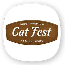 کت فست | cat fest