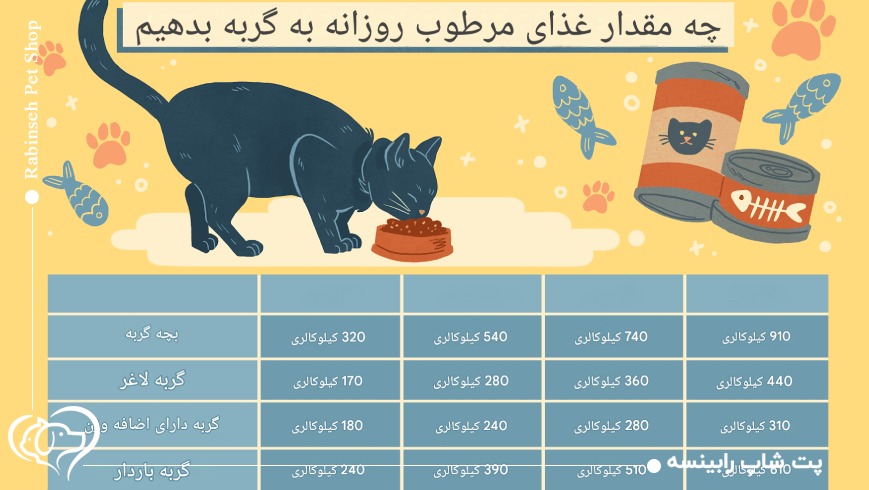 برنامه غذایی بچه گربه از تولد تا ۲ ماهگی