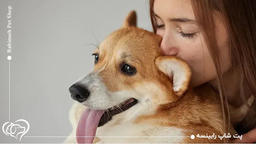 ارتباط مراقبتهای روزانه با سلامت گوش سگ